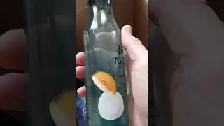 Заказ в каталоге 7 Орифлэйм