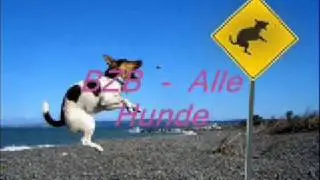 Band zonder Banaan - Alle Hunde
