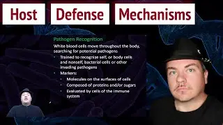 Defense Mechanisms of the Host: An Overview