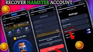 How to Recover Permanently Deleted Hamster Kombat Account 🙊