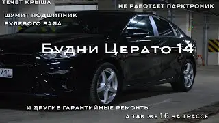 БЦ 14. 1.6 на трассе, гарантийные ремонты и другое.