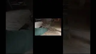 Печка в лесном домике #shorts