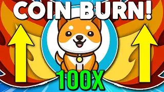NEXT 100X COIN ! BABY DOGE COIN HUGE PRICE INCREASE ! BABY DOGE COIN PRICE PREDICTION 2021 !