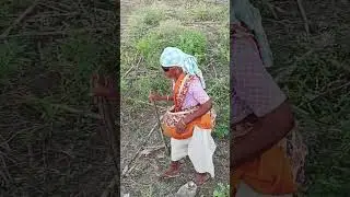 தெய்வமம்மா நீ 