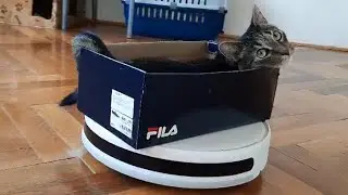 Jenny riding the vacuum