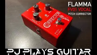 Flamma FV01 Vocal Pitch Corrector
