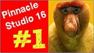Pinnacle Studio 16, 17 Lesson 1 Overview Editing a File A Thought from Edgar