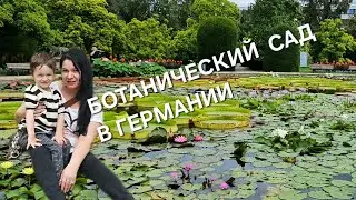 КОМНАТНЫЕ РАСТЕНИЯ БОТАНИЧЕСКИЙ САД В ГЕРМАНИИ #цветы #nature #plants #влог #garden #обзор #топ #