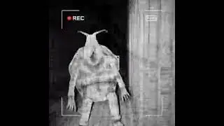Content Warning 5