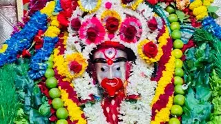 Tarapith Tarama Arti | Joy Ma Tara | জয় মা তারা #tarapith #taramaa #matarani