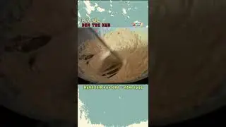 Nghề làm kẹo dừa - năm 1995