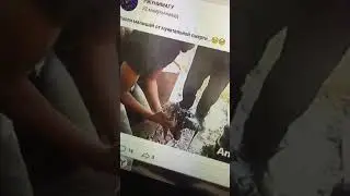 Трогательное видео | мы живем в России|Слава КПСС
