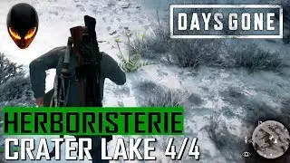 DAYS GONE Herboristerie - CRATER LAKE 4/4