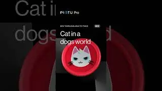 MEW sekarang sudah bisa kamu trading di Pintu Pro!