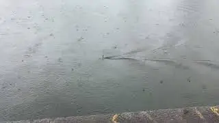 1/30 OTW Nacken Rc submarine at full chat.