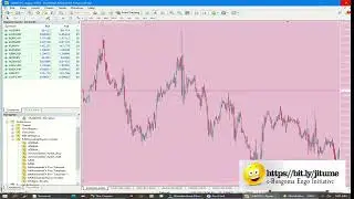 Unlocking Advanced Forex Trading Strategies: MetaTrader 4 Programming and Optimization Techniques