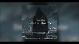 Bête De Chienne - Prinsco Official - rappeur beziers