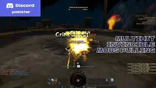 4Story - iverian craxion vs defugel - MultiHack