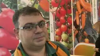 Очередь за семенами?