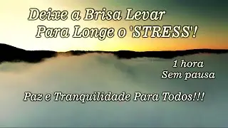 Vento Relaxante — Livre 'STRESS' — Leveza, Bem Estar e Paz Mental! 🔉 🌬️ 🧘 🙏 🎶