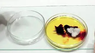 😱 ЖЕСТЬ фокус с отрезанием! ИСКУССТВЕННАЯ КРOВЬ! Самое (не)жуткое видео ютуба! 18+