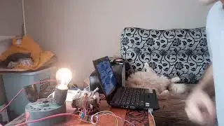 ДИММЕР с детектором ноля(FLProg)