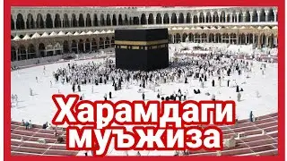 Харамда юз берган мужиза - ХАЁТИЙ ВОКЕА