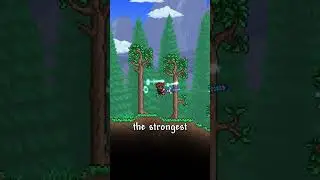 The Best Magic Weapons In Terraria. 