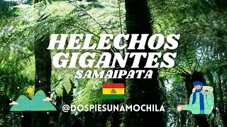 🌴 Parque Nacional Amboró 🌴  SAMAIPATA