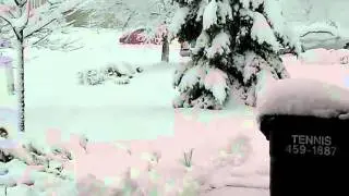 Snow - Nov. 13, 2010 - 2