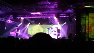 Dolphin - QT