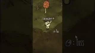 Should YOU play Wolfgang? DST OP 