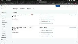 Form analytics explained within Matomo
