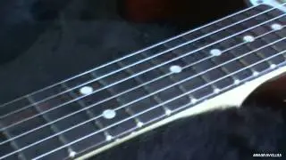 Fender Standard Stratocaster Plus Top With Rosewood Fretboard