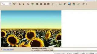 How To Post Unclickable Images in Blogger