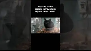 мем халява вот блиц прикол world of tanks wot blitz