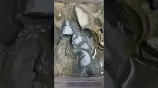 Голубая и зеленая узбечка 🫶