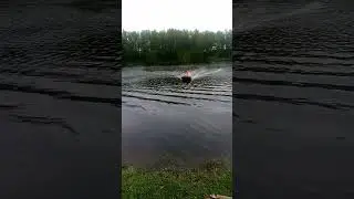 21 июня 2024 г.