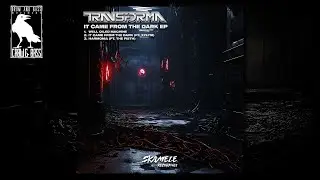 Transforma & The Fi5th - Harmonia [Skamele Recordings]