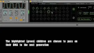 Evolve an Audio Effect rack in Ableton with Natural Selection P