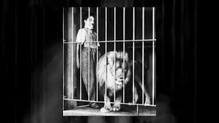 David Petri : " Caged Blues  "  Album: " Animal Convention " - 2016 Sebastopol, CA