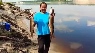 Жена поймала монстров