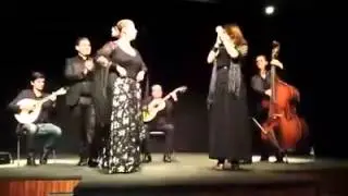 Fado Auditório Salvador Caetano