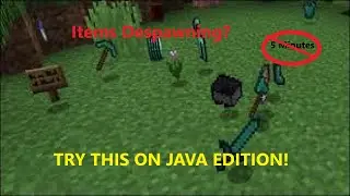 How to make items not to despawn in 5 Minutes In Minecraft Java Edition