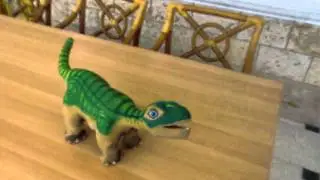 The Cute Pleo On The Table!