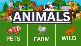 ANIMAL names | Wild animals | farm animals