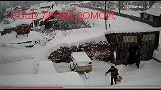 Ношу дрова домой.