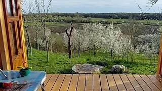 Primăvara în livadă la cabană
