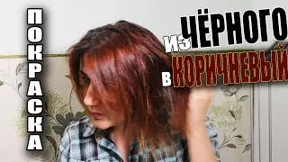 REMOVE BLACK HAIR DYE // WITHOUT HARMING YOUR HAIR // ESTEL HAIR CLEANER