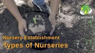 Types of Nurseries (Part 2/4)